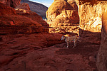 photo thumbnail #9