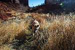 photo thumbnail #15