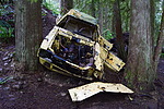 photo thumbnail #6
