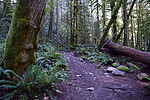 photo thumbnail #11