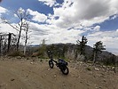 photo thumbnail #11