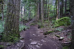 photo thumbnail #11