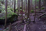 photo thumbnail #14