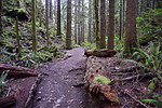 photo thumbnail #15