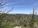 photo thumbnail #7