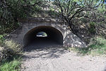 photo thumbnail #9