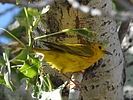 photo thumbnail #4