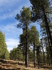 photo thumbnail #14