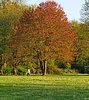 photo thumbnail #13