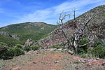 photo thumbnail #11