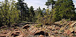 2020-05-09 :1: Davis - Moscow - 7675 - Union - Spruce Lode :: joebartels