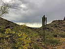 photo thumbnail #5