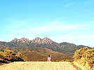photo thumbnail #1