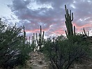 photo thumbnail #13