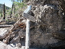 photo thumbnail #2