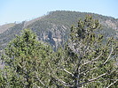 photo thumbnail #12