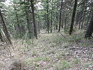 photo thumbnail #14