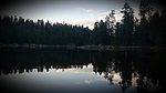 recent photo
