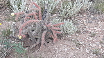 photo thumbnail #6