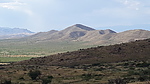 recent photo