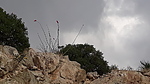 recent photo