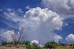 photo thumbnail #12
