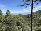 photo thumbnail #1