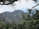 photo thumbnail #8