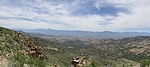 photo thumbnail #2