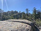 photo thumbnail #2
