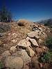 photo thumbnail #15