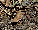 photo thumbnail #13
