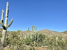 photo thumbnail #2