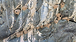 2020-05-13 :: Box Canyon :: chumley