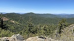 photo thumbnail #5