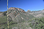 photo thumbnail #7