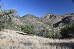 photo thumbnail #8