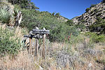 photo thumbnail #9
