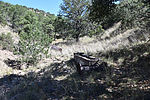photo thumbnail #12