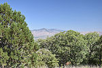 photo thumbnail #13