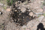 photo thumbnail #14