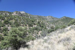 photo thumbnail #15