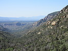 photo thumbnail #3