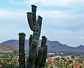 photo thumbnail #2