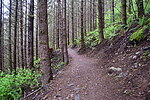 photo thumbnail #5