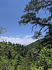 photo thumbnail #12