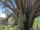 photo thumbnail #13