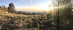 photo thumbnail #2