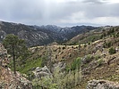 photo thumbnail #5