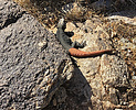 photo thumbnail #3
